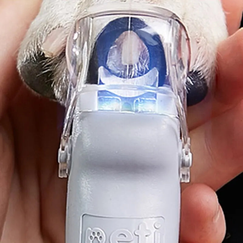 Alicate para as Unhas Pets LED Edição de Luz Magnifiable Dog Cat Especial Nail Clipper Multi-função Nail Trimmer Pet Grooming Suprimentos