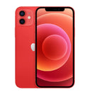 49670021611804|49670021677340|49670022234396|49670022299932|49670022463772|49670022496540|49670022562076|49670022627612|49670022791452|49670022856988|49670022922524|49670022988060