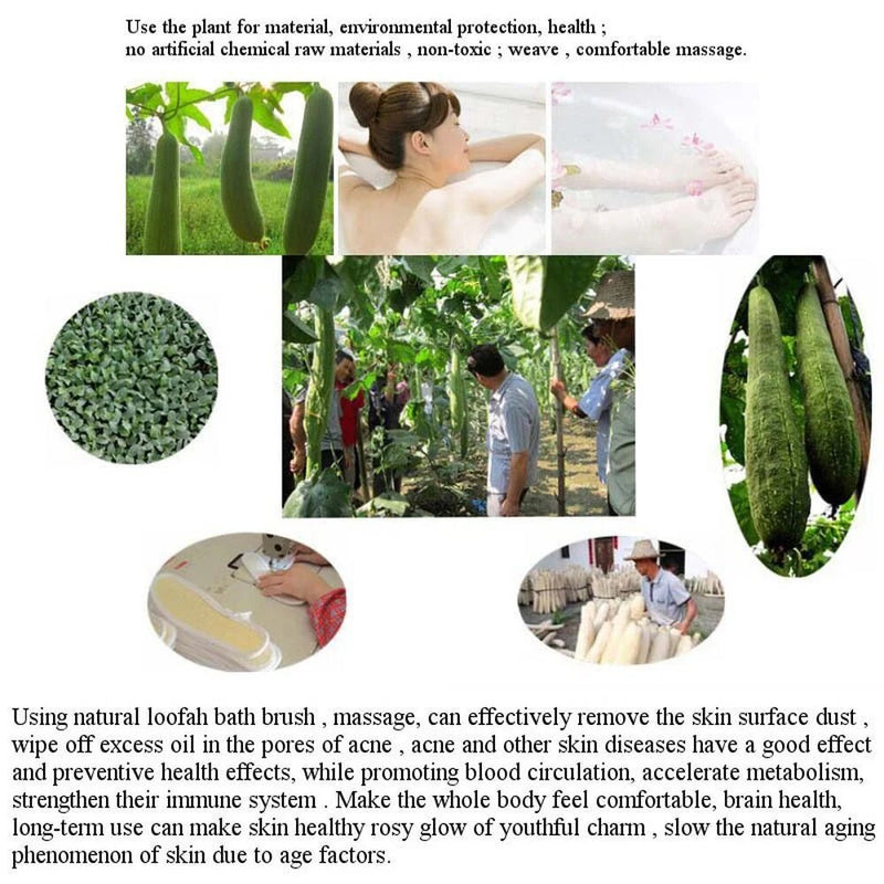 Esfoliante Para Esfregar Costas